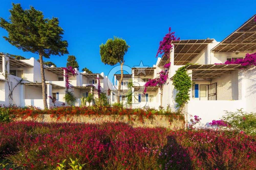 Bodrum Turgutreis Denize Sıfır Satılık Dubleks Daire