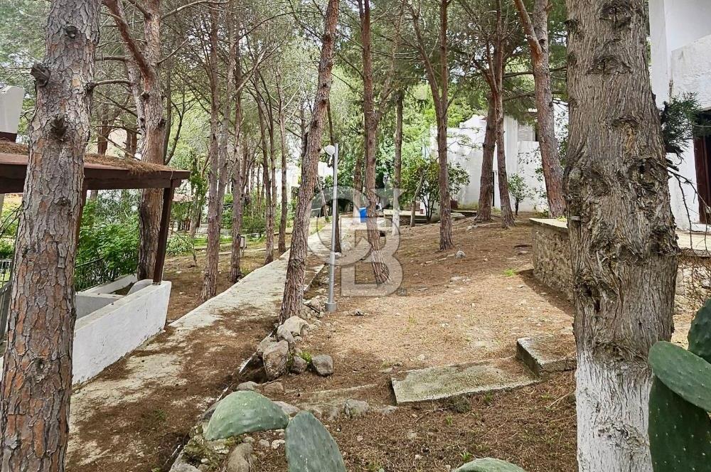 Bodrum Turgutreis Denize Sıfır Satılık Dubleks Daire