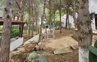 Bodrum Turgutreis Denize Sıfır Satılık Dubleks Daire