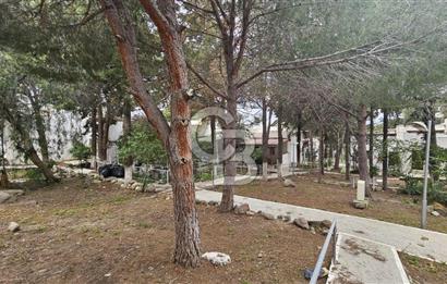 Bodrum Turgutreis Denize Sıfır Satılık Dubleks Daire