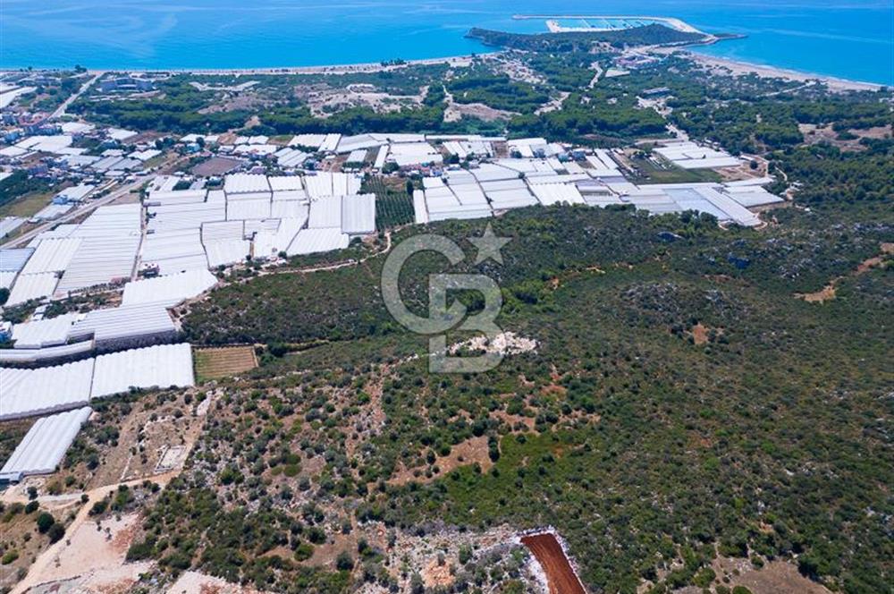 CB ARDENDEN ANTALYA DEMRE BÜYÜKKUMDA 2656 M2 SATILIK TARLA