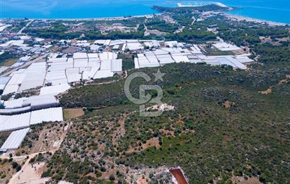 CB ARDENDEN ANTALYA DEMRE BÜYÜKKUMDA 2656 M2 SATILIK TARLA