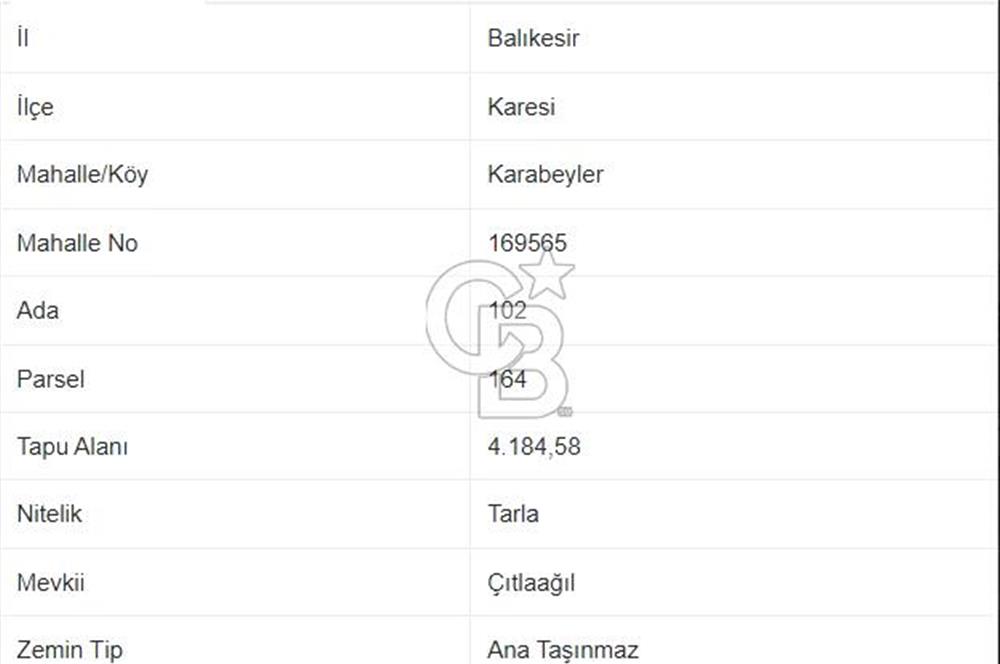 CB EAGLE'dan KARABEYLER MAH. 4.184 m² SATILIK TARLA