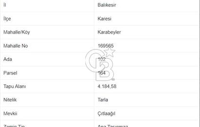CB EAGLE'dan KARABEYLER MAH. 4.184 m² SATILIK TARLA