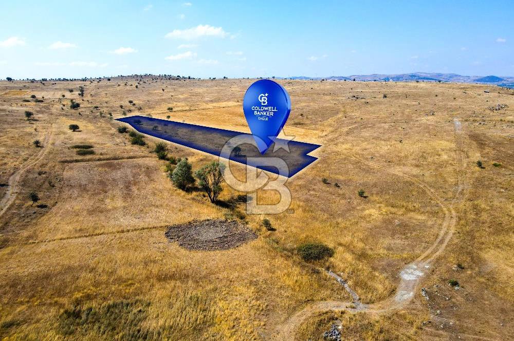 CB EAGLE'dan KARABEYLER MAH. 4.184 m² SATILIK TARLA