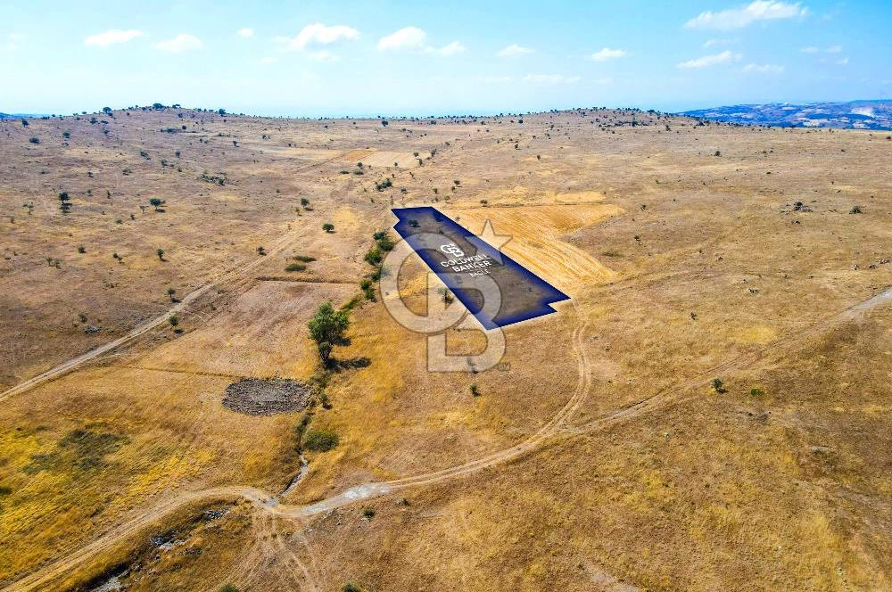 CB EAGLE'dan KARABEYLER MAH. 4.184 m² SATILIK TARLA