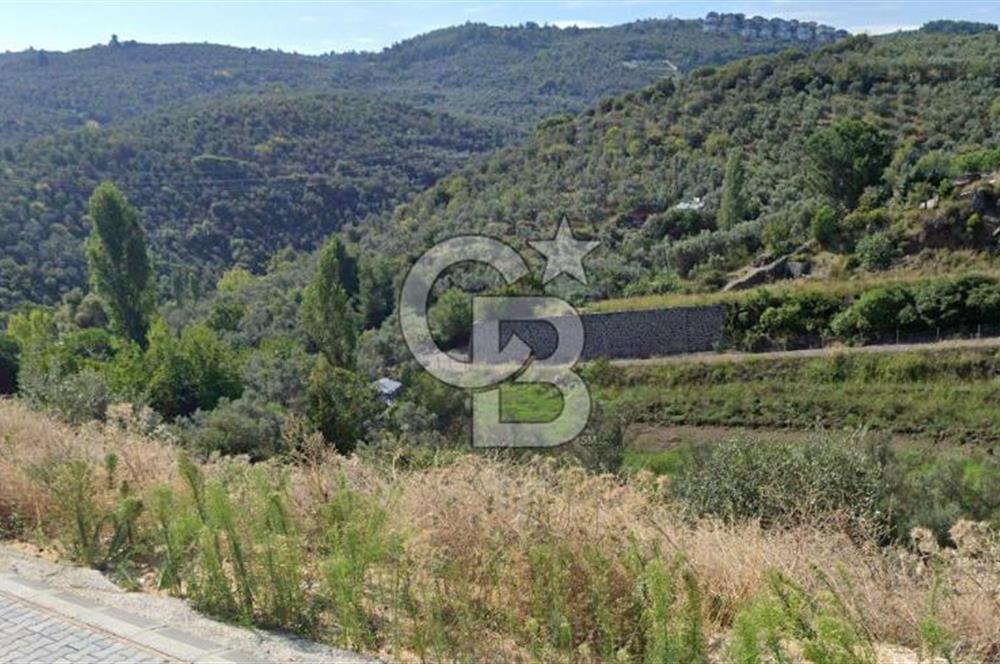 MUDANYA / HALİTPAŞA'DA KAT KARŞILIĞI İMARLI ARSA