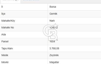 GEMLİK / NARLI 'DA SATILIK DENİZ MANZARALI ARAZİ