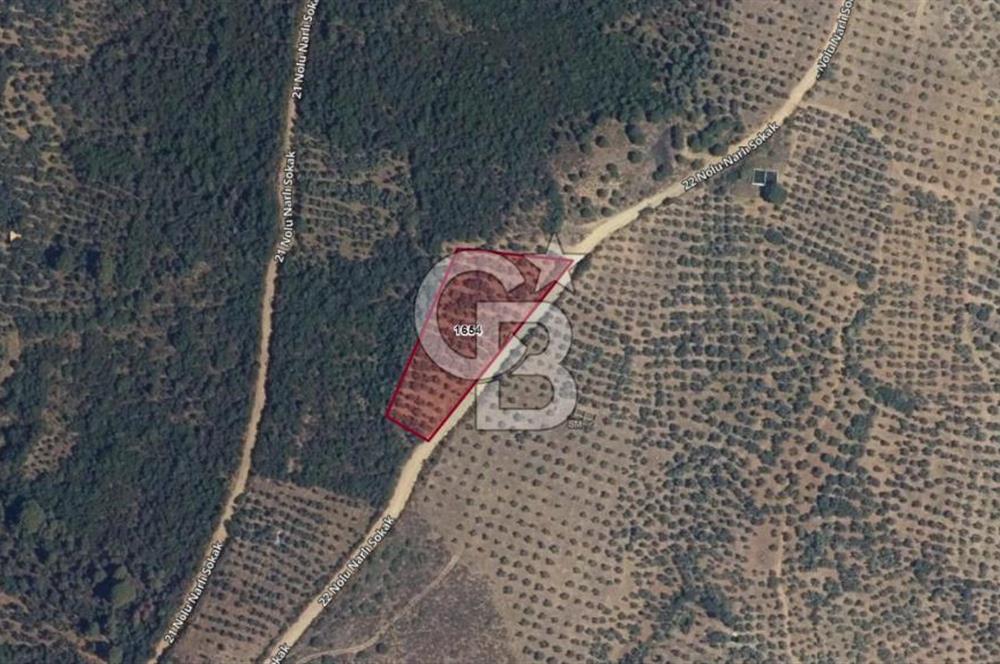 GEMLİK / NARLI 'DA SATILIK DENİZ MANZARALI ARAZİ