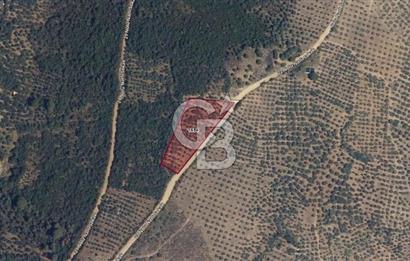 GEMLİK / NARLI 'DA SATILIK DENİZ MANZARALI ARAZİ