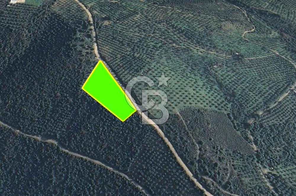 GEMLİK / NARLI 'DA SATILIK DENİZ MANZARALI ARAZİ