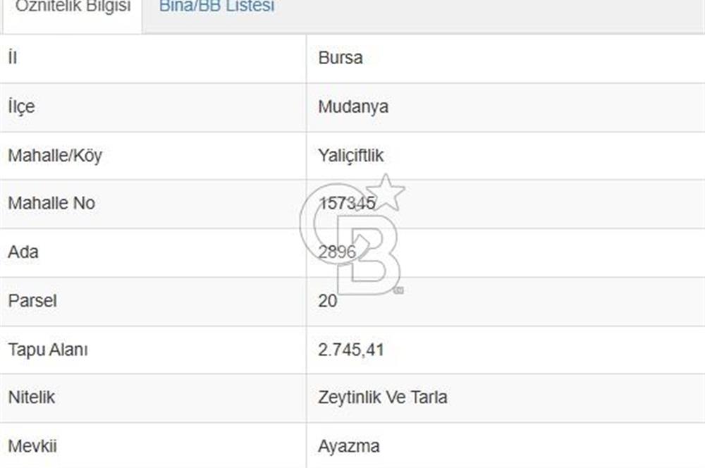 MUDANYA / YALIÇİFTLİK 'TE MÜSTAKİL ZEYTİNLİK