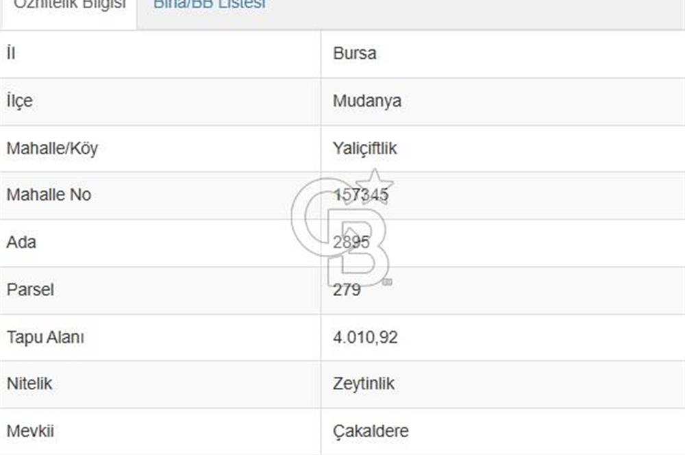 MUDANYA / YALIÇİFTLİK 'TE MÜSTAKİL ZEYTİNLİK