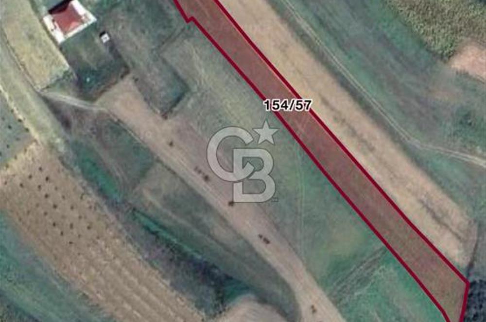 CB Fly'dan köy içine ve sahillere yakın 2716 m2 tarla