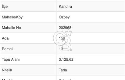 CB Fly'dan köy içine ve sahillere yakın 3125 m2 tarla