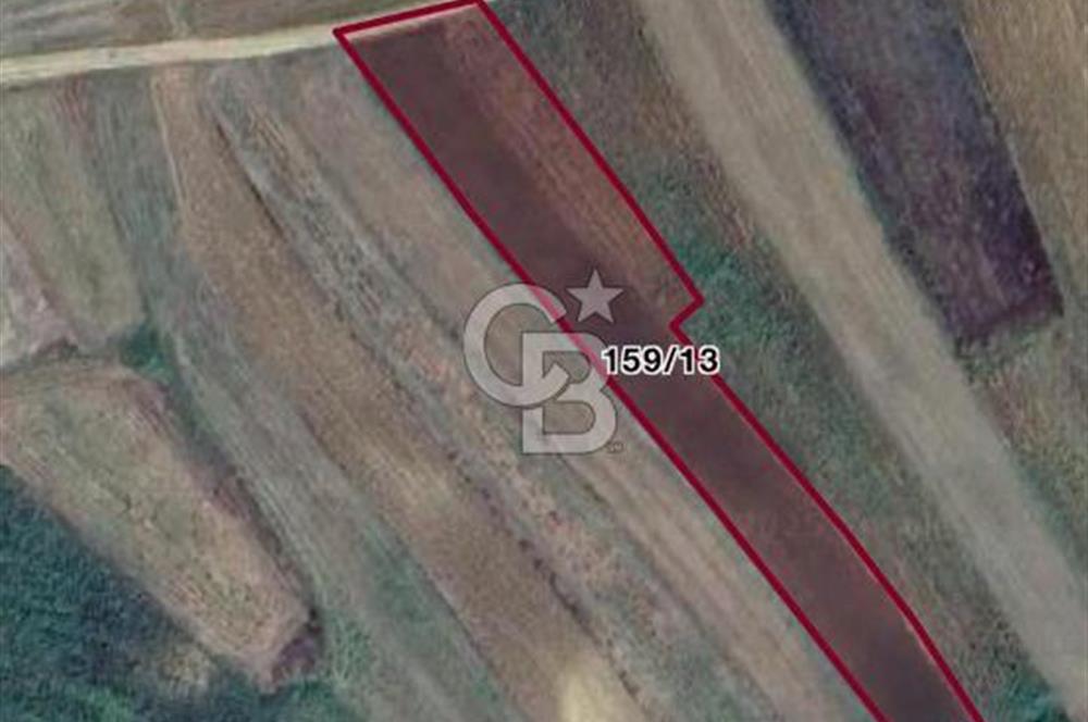 CB Fly'dan köy içine ve sahillere yakın 3125 m2 tarla
