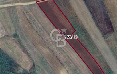 CB Fly'dan köy içine ve sahillere yakın 3125 m2 tarla