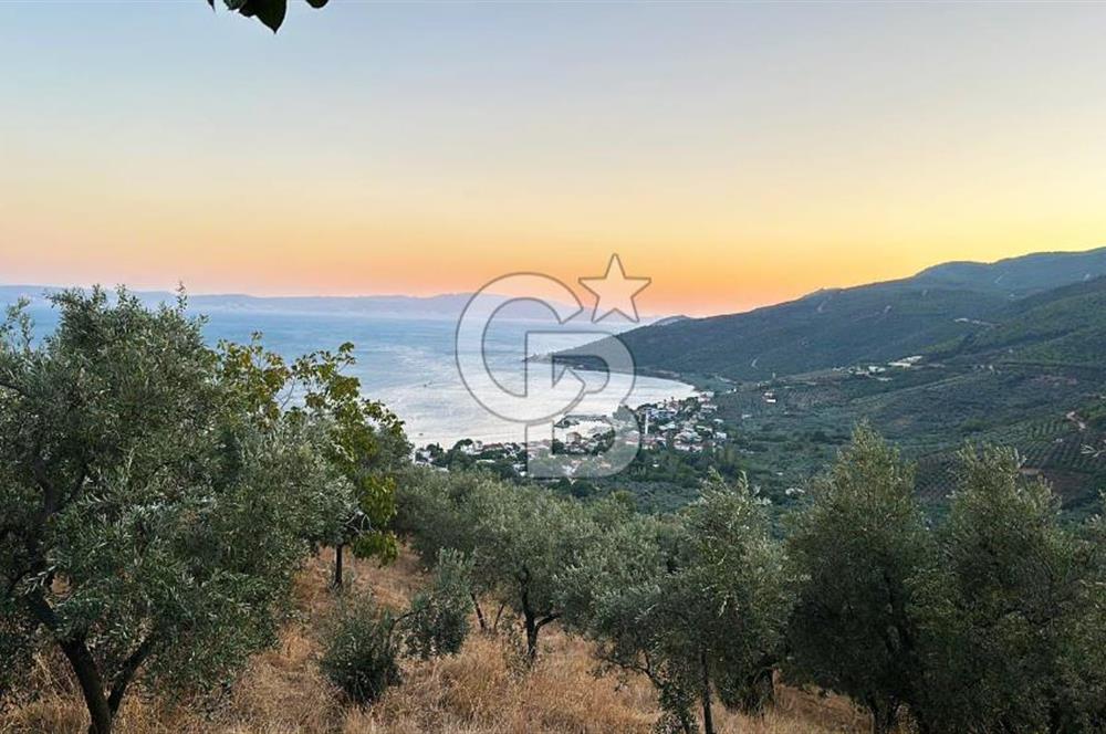GEMLİK / NARLI 'DA SATILIK DENİZ MANZARALI ARAZİ