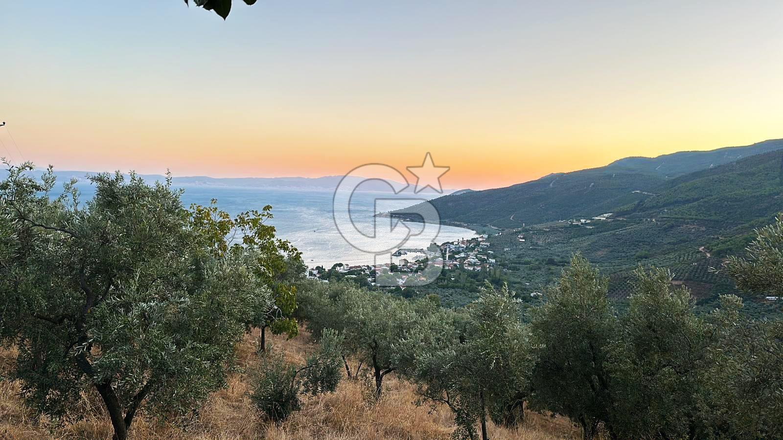 GEMLİK / NARLI 'DA SATILIK DENİZ MANZARALI ARAZİ