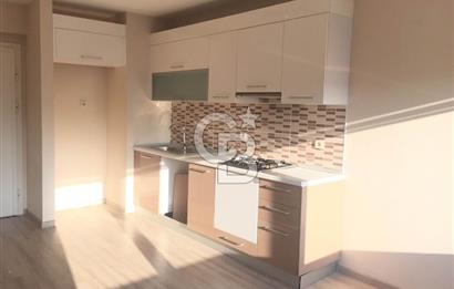 Dumankaya Cadde Kurtköy Havuz Manzaralı 1+1 Kiralık Daire