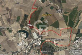 ADANA CEYHAN BÜYÜKMANGIT 1900 M2 SATILIK TARLA