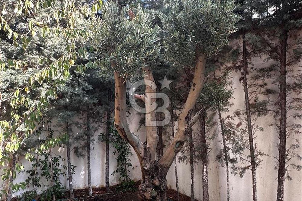 Beylikdüzü West İstanbul Marina Asrın Konakları Satılık 3+1 Katlı villa