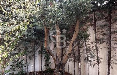 Beylikdüzü West İstanbul Marina Asrın Konakları Satılık 3+1 Katlı villa