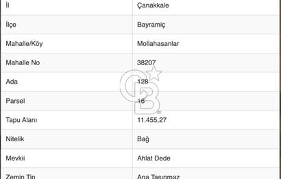 Kazdağları’nın Bereketli Topraklarında Yatırımlık Bağ