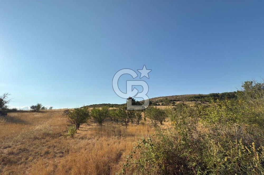 Kazdağları’nın Eteklerinde Elma Ağaçlı Yatırımlık Tarla
