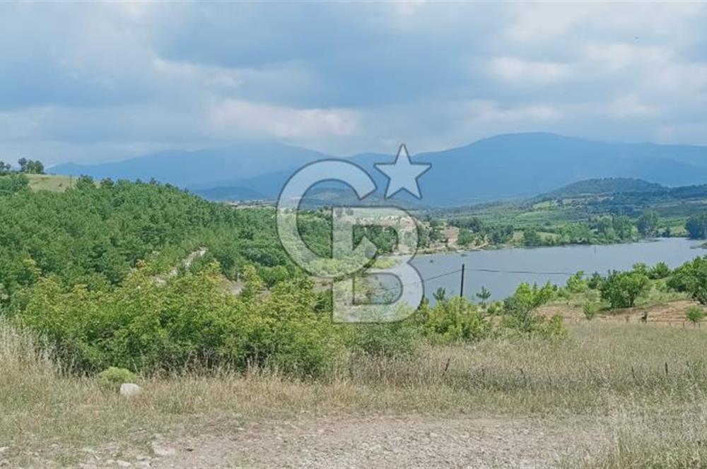 Kazdağları’nın Eteklerinde Elma Ağaçlı Yatırımlık Tarla