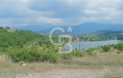 Kazdağları’nın Eteklerinde Elma Ağaçlı Yatırımlık Tarla