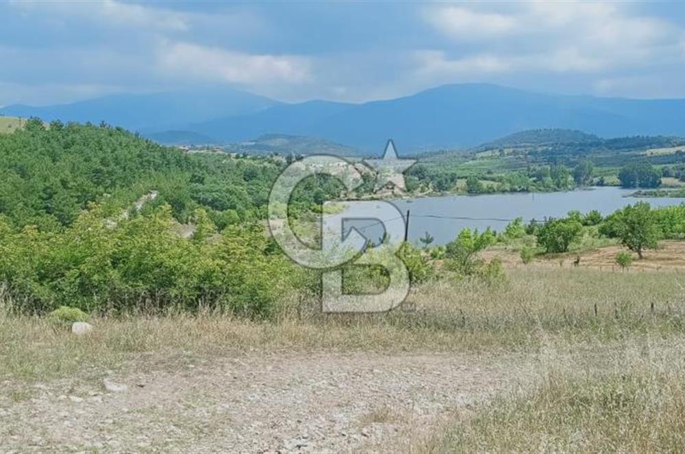Kazdağları’nın Eteklerinde Elma Ağaçlı Yatırımlık Tarla