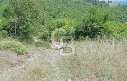 Kazdağları’nın Eteklerinde Elma Ağaçlı Yatırımlık Tarla