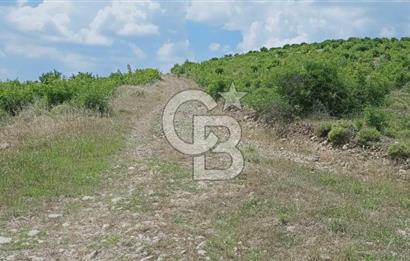 Kazdağları’nın Eteklerinde Elma Ağaçlı Yatırımlık Tarla