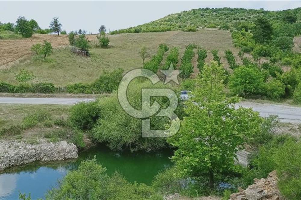 Kazdağları’nın Eteklerinde Elma Ağaçlı Yatırımlık Tarla