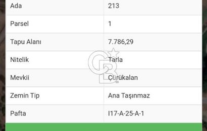 Kazdağları’nın Eteklerinde Elma Ağaçlı Yatırımlık Tarla