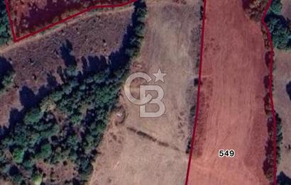 ÇANAKKALE YENİCE ARAOVACIK' DA SATILIK TARLA