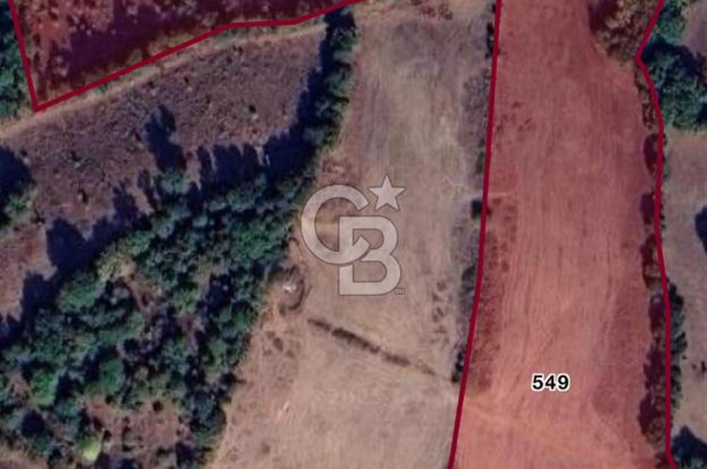 ÇANAKKALE YENİCE ARAOVACIK' DA SATILIK TARLA