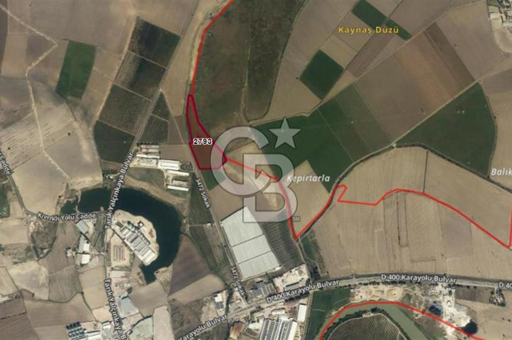 ADANA CEYHAN BÜYÜKMANGIT 42.944 M2 SATILIK TARLA