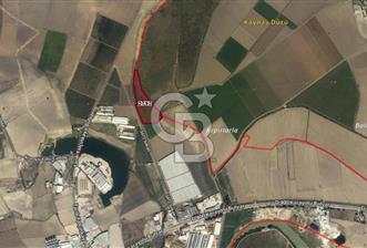 ADANA CEYHAN BÜYÜKMANGIT 42.944 M2 SATILIK TARLA