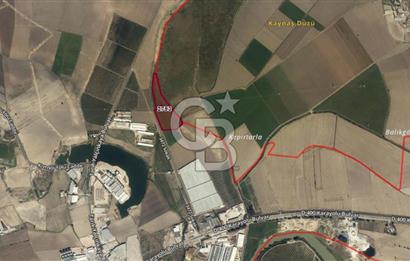ADANA CEYHAN BÜYÜKMANGIT 42.944 M2 SATILIK TARLA