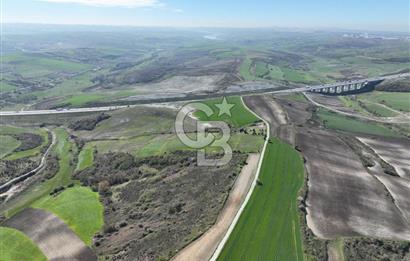 ARNAVUTKÖY YASSIÖREN SATILIK 187m2 ARSA