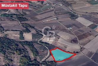 Mustafakemalpaşa Keltaş Mahallesi’nde Satılık Tarla