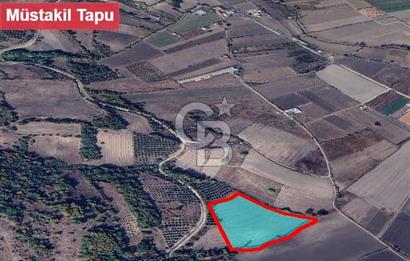 Mustafakemalpaşa Keltaş Mahallesi’nde Satılık Tarla