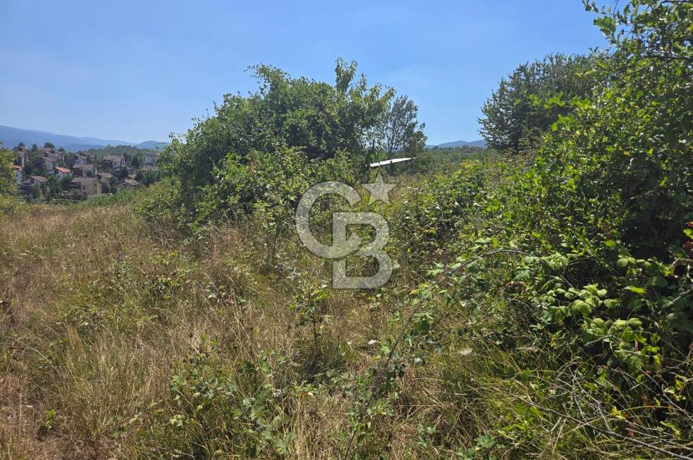 CB ENVOY'DAN SAPANCA'DA YATIRIM FIRSATI İMARLI ARSA