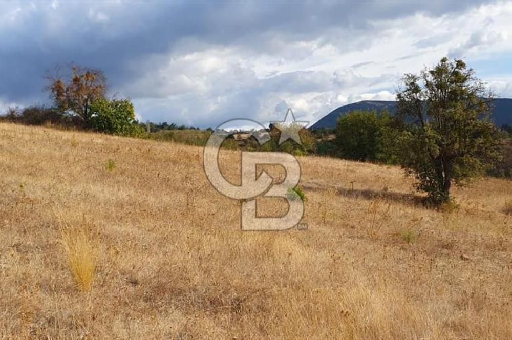 MESTANLARDA ÇİFTLİK VE HOBİ AMAÇLI (ARAÇ TAKASLI) UYGUN ARAZİ