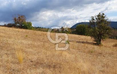 MESTANLARDA ÇİFTLİK VE HOBİ AMAÇLI (ARAÇ TAKASLI) UYGUN ARAZİ
