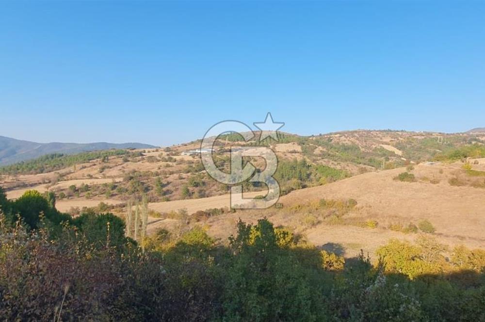 MESTANLARDA ÇİFTLİK VE HOBİ AMAÇLI (ARAÇ TAKASLI) UYGUN ARAZİ