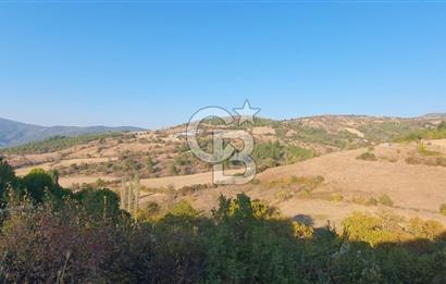 MESTANLARDA ÇİFTLİK VE HOBİ AMAÇLI (ARAÇ TAKASLI) UYGUN ARAZİ