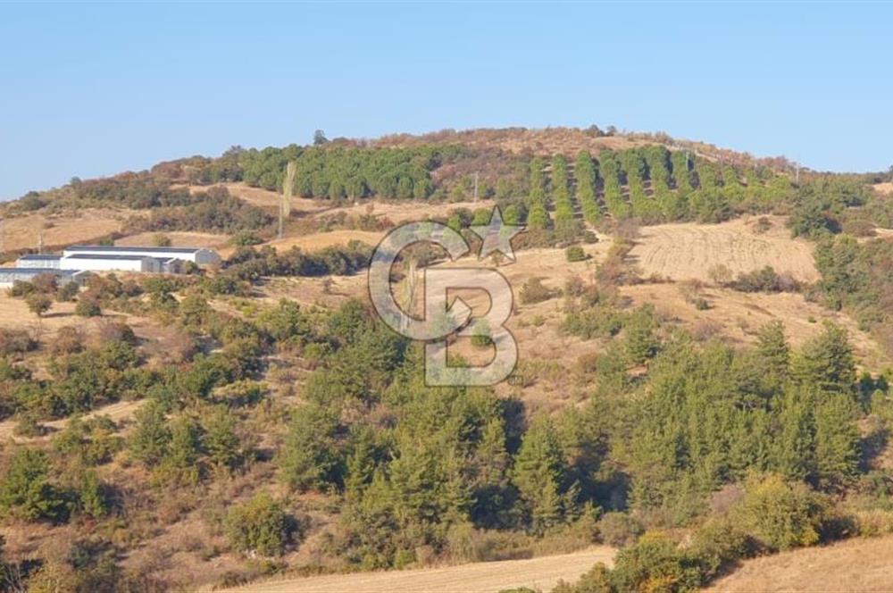 MESTANLARDA ÇİFTLİK VE HOBİ AMAÇLI (ARAÇ TAKASLI) UYGUN ARAZİ